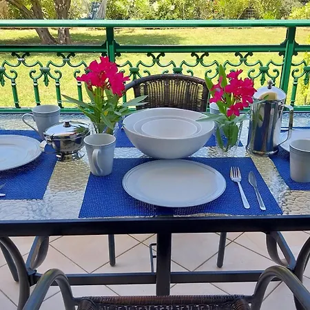 Gecko, Arillas Kavvadades