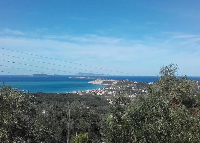 Gecko, Arillas
