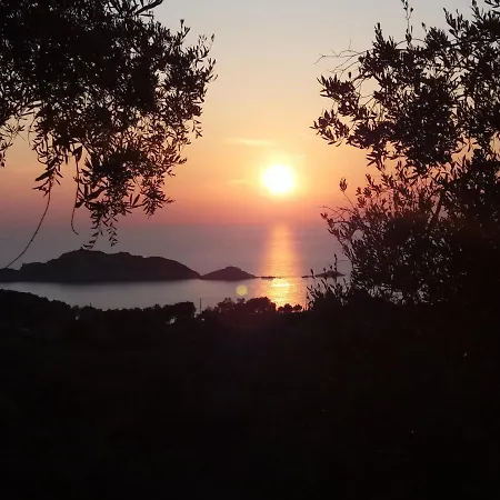 Gecko, Arillas Case de vacanță