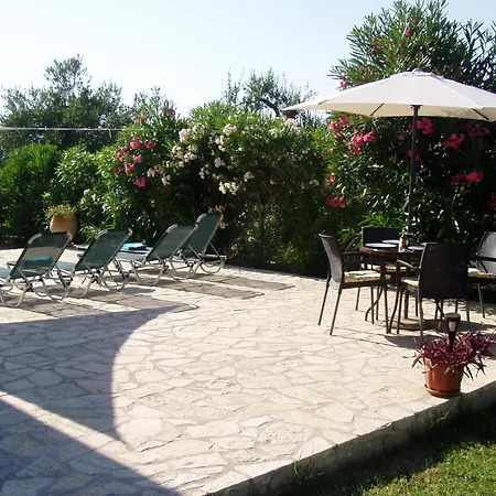 Gecko, Arillas Kavvadades