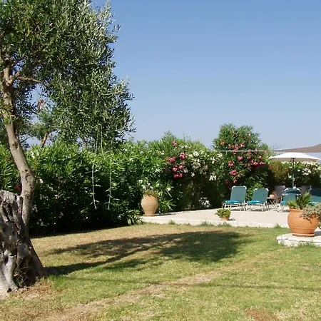 Gecko, Arillas * Kavvadades