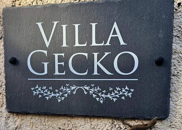 Gecko, Arillas Ferienhaus