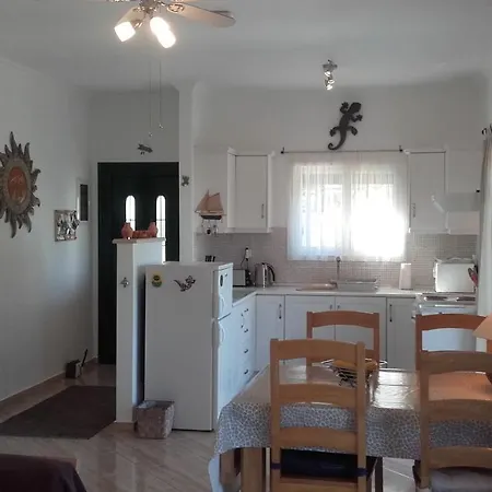 Gecko, Arillas Ferienhaus Kavvadades