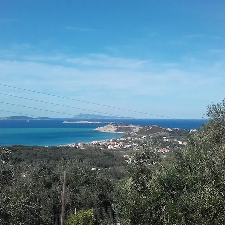 Gecko, Arillas