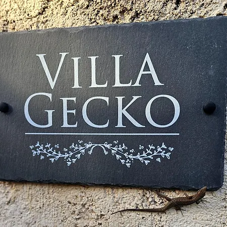 Gecko, Arillas Casa de Férias