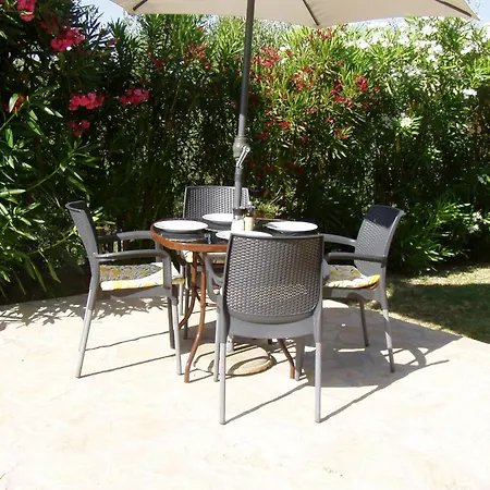 Gecko, Arillas Ferienhaus Kavvadades